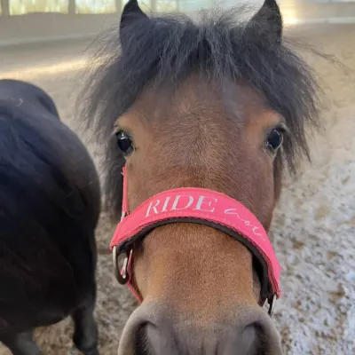 Coco