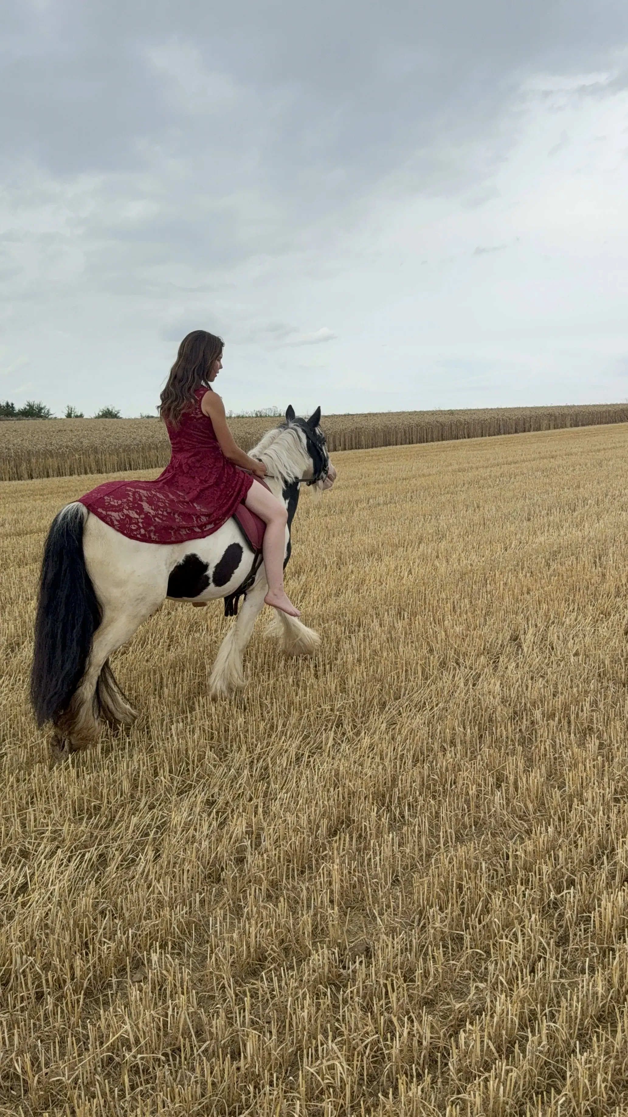 Portrait von Penelope