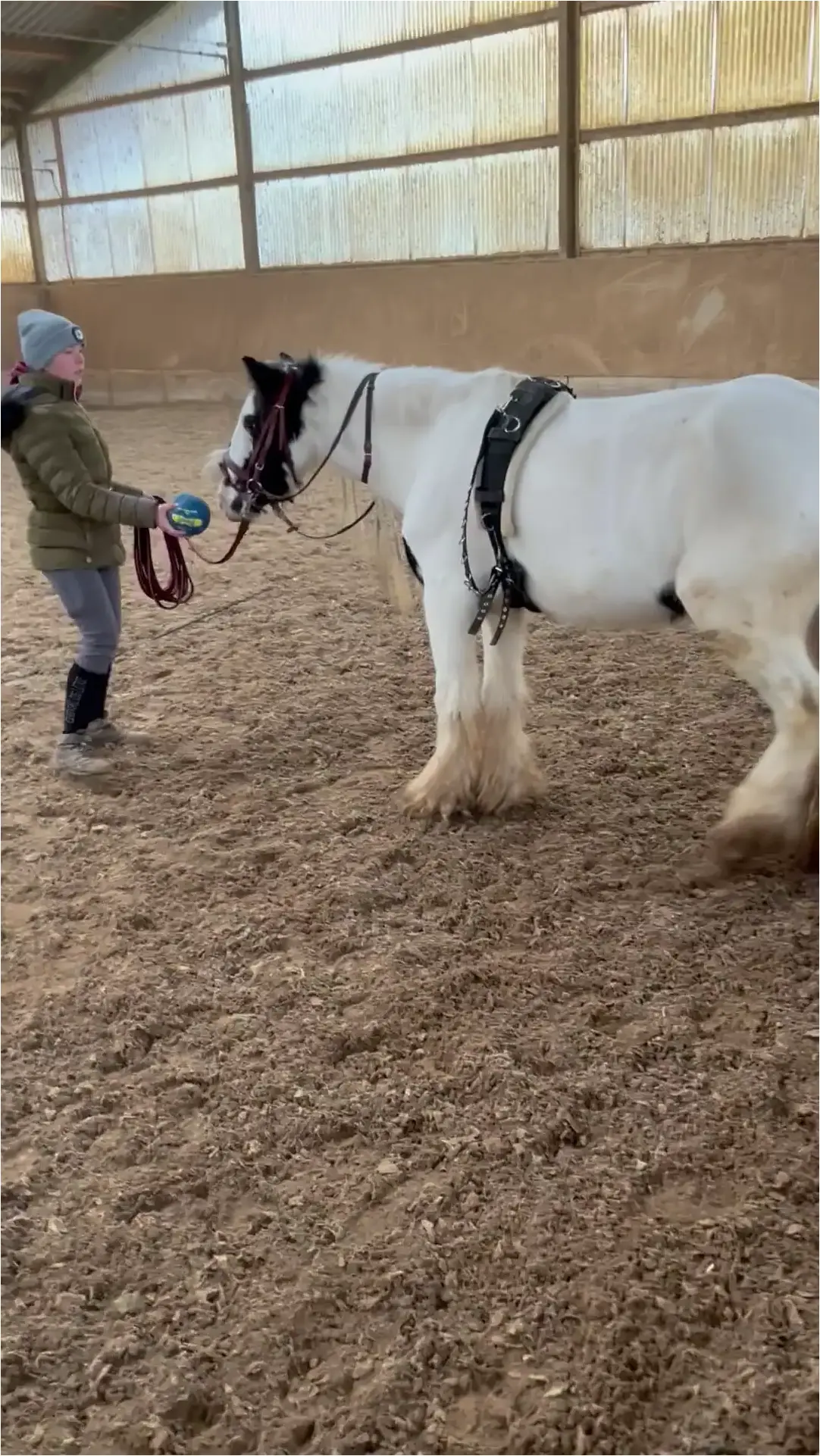 Kind beim therapeutischen Reiten mit Ball.